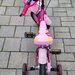 Bicicleta fetite